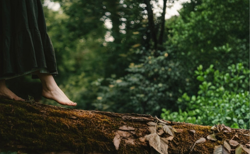 Person standing on a log with a blurred green forest background